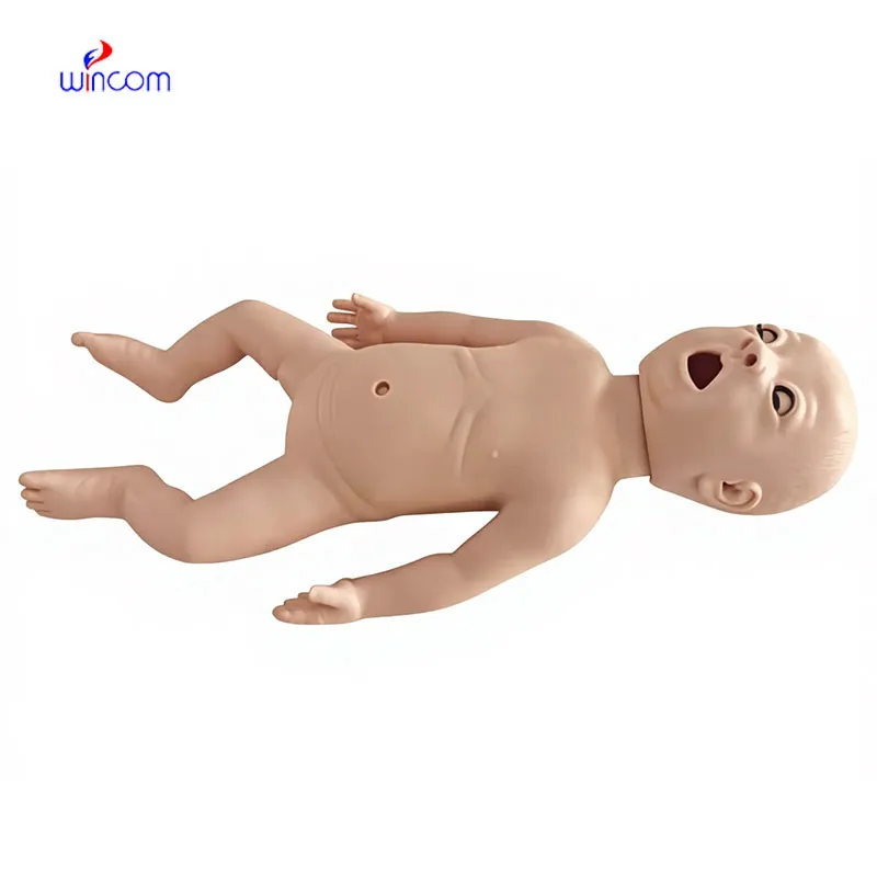 Applications of  livestock ultrasound machine